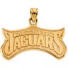 Jacksonville Jaguars Pendants & Earrings