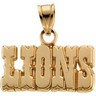 Detroit Lions Pendants & Earrings