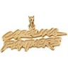 Carolina Panthers Pendants & Earrings