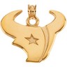 Houston Texans Pendants & Earrings