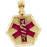 Medical ID Pendant with Red Enamel 15.25 x 14.75mm Ref 488087